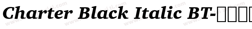 Charter Black Italic BT字体转换